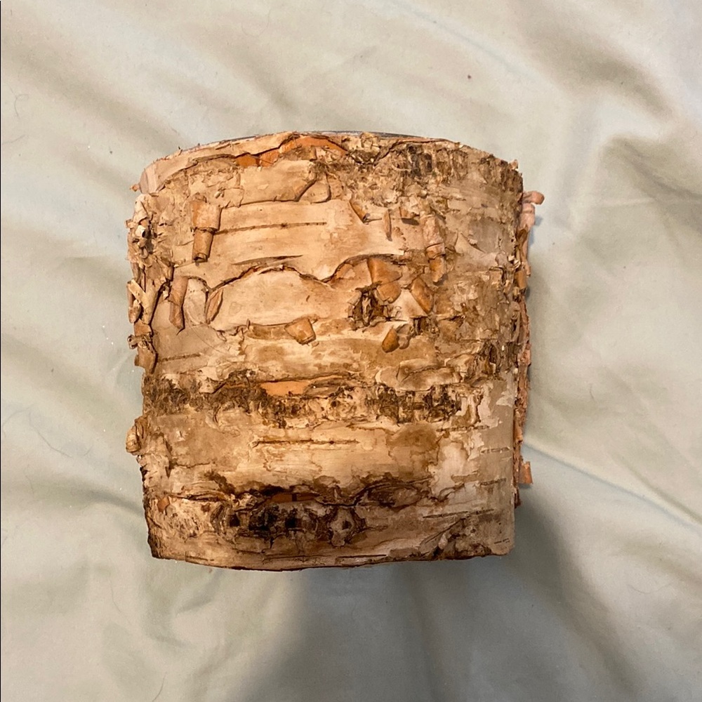 Natural Birch Bark Accent Vase